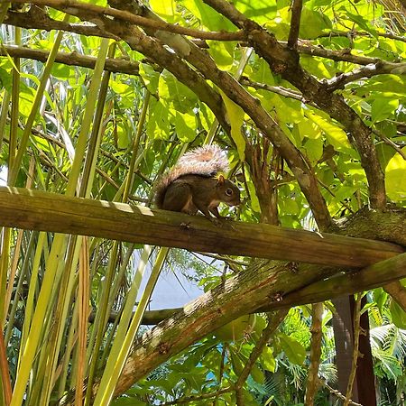 Pousada Jambrero Caraiva Bagian luar foto