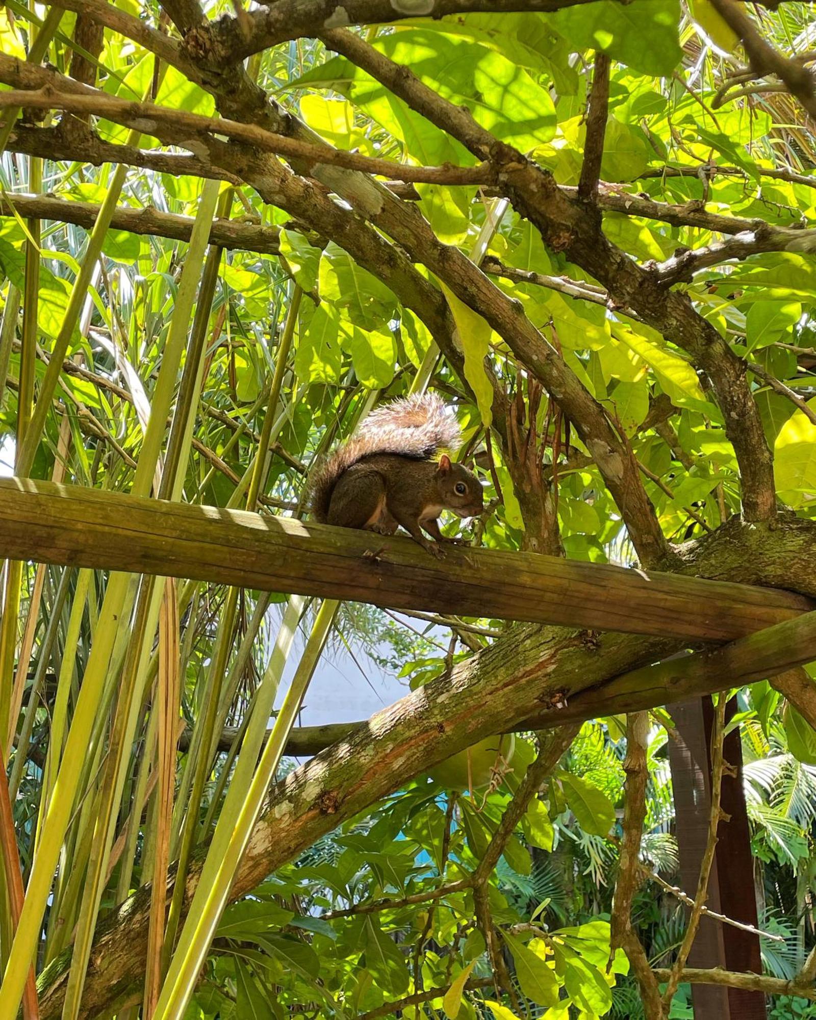 Pousada Jambrero Caraiva Bagian luar foto